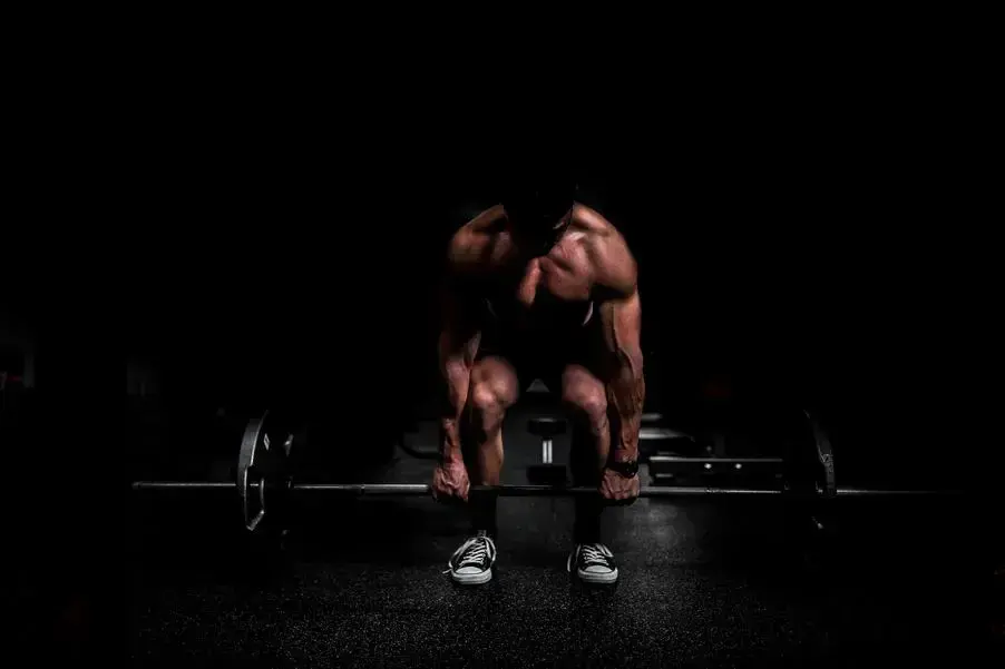 Software programa gestion de gimnasios y centros deportivos